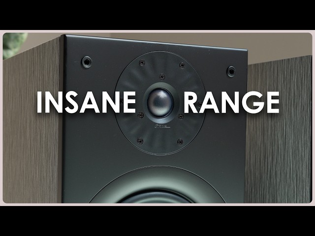 Starke Sound Beta 7 Review | They’ve Got Range!