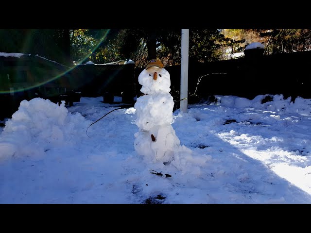 Roxborough Snowman