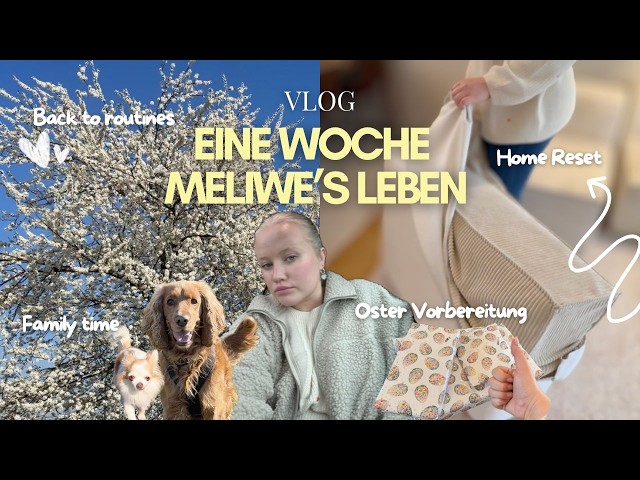 VLOG: Alleinerziehende Mama, ich lerne neue Routinen mit 3 Kids 🐰😌+ Little Home Reset 🏡