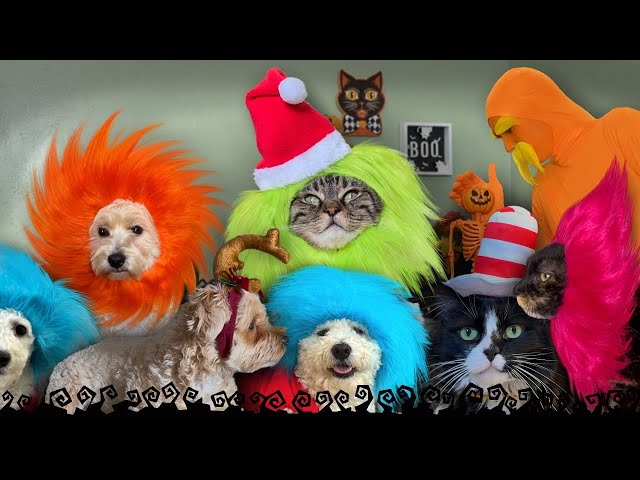 Penny's Halloween is HAPPENING!