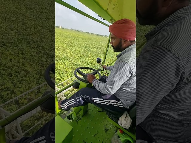 campaign #campaign #machine #shorts