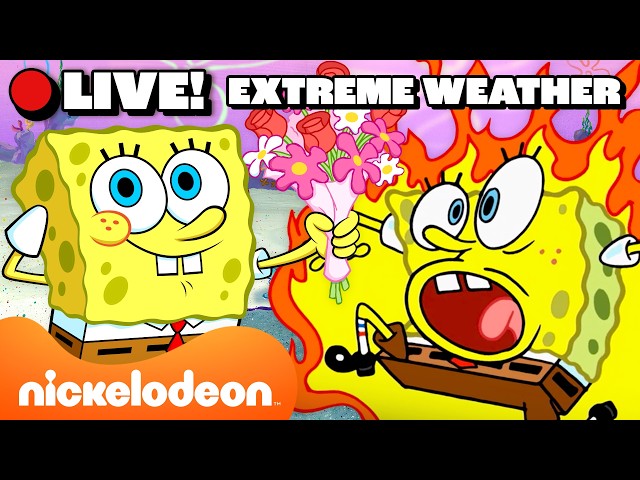 🔴 LIVE: SpongeBob's Most Extreme Weather Marathon! 🔥❄️ | Nicktoons