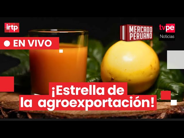 The coastal route of passion fruit: growing global demand for this Peruvian fruit | Peruvian Mark...