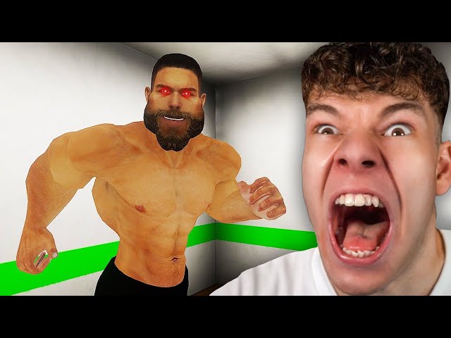 I should NOT have been training in this gym... [Gym or Jail]