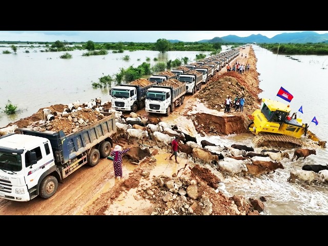 😱 EPIC PROJECT!! New Road Building Over Flooding Area By Bulldozer SHANTUI, many 24Ton Hyundai Truck