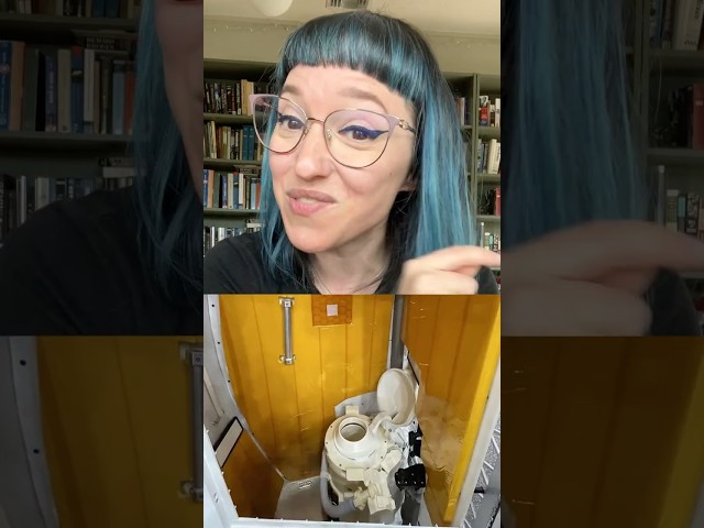 Broken toilets and floating turds #shorts #history