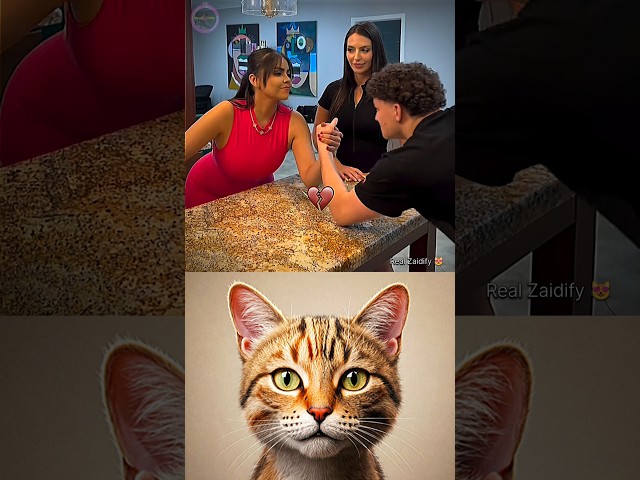 give this video title 🗿 (warning answer) #cat #meme #dance #funny