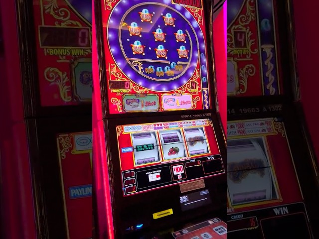 $200 Pinball Spin and Bonus Landed!!