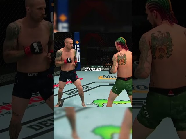 🥊 Feints: UFC’s Ultimate Mind Game 🧠#ufc