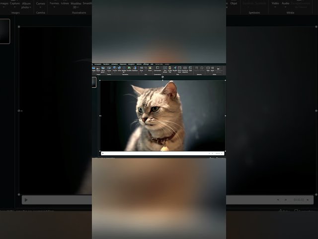 "The Secrets to a Perfect PowerPoint!  #PowerPoint #PresentationTips #SlideDesign  #powerpointhacks