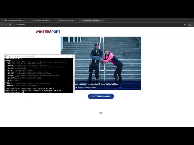 Maple C2 vs INTERSPORT | SHOWCASE 2026 BEST C2