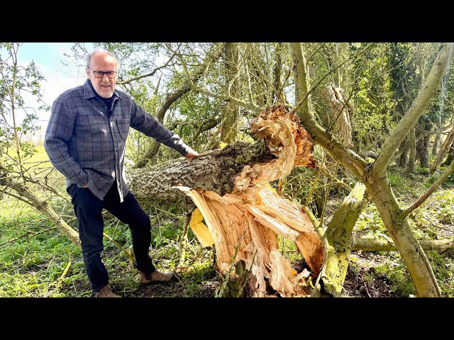 How I saved £10k in farm costs, Storm Dave damage & why I may not be growing any crops next year