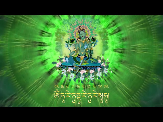 Thần Chú Lục Độ Phật Mẫu Green Tara Goddess 救度母 Green Tara Mantra Om Tare Tuttare Ture Svaha