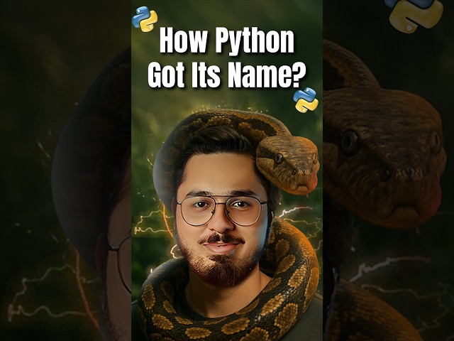 Python is not a Snake! 🐍