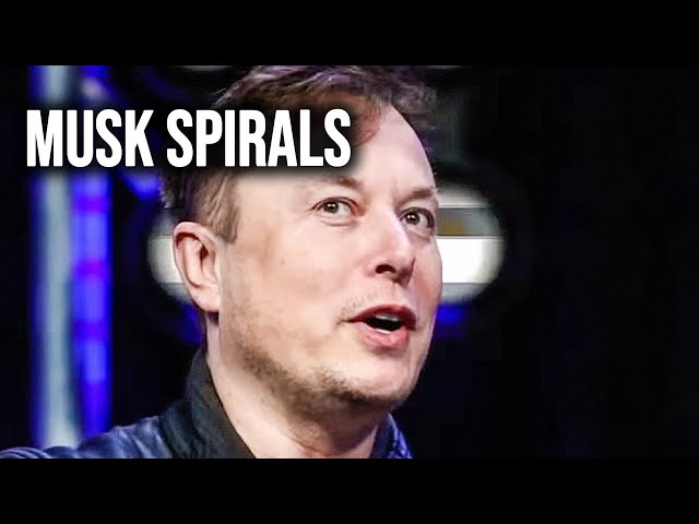 Elon Musk LOSES IT With Disaster Post In Bizarre White Solidarity Meltdown