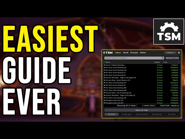 EASIEST TSM ADDON GUIDE EVER
