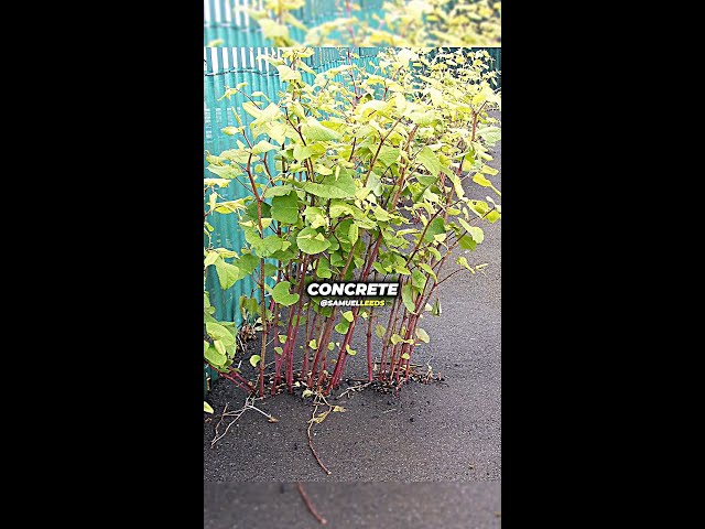 THE WORST THING YOU COULD DO AS A PROPERTY OWNER 🚫👀