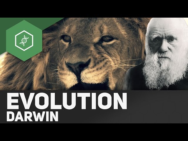 Charles Darwin's theory of evolution