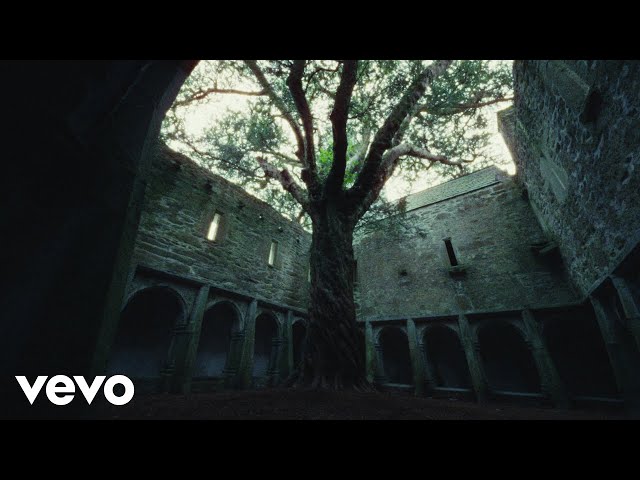 Dermot Kennedy - Wasted (Official Lyric Video)