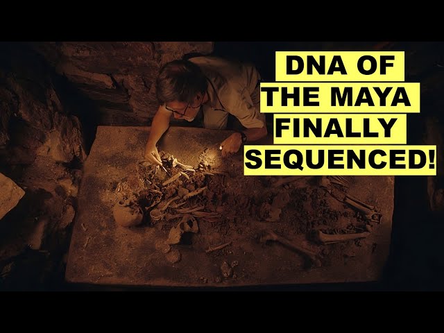 Ancient DNA Reveals Who the Maya Really Were — And Why They Collapsed