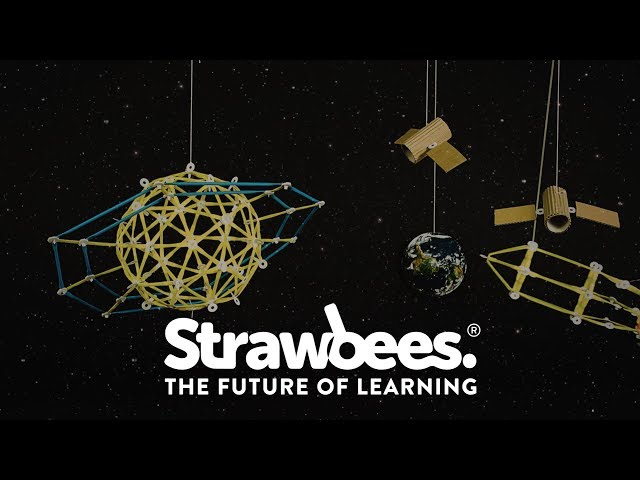 Crazy Scientist by Strawbees