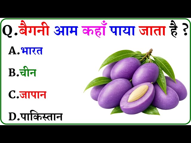 GK Question || GK In Hindi || GK Question and Answer || GK Quiz ||