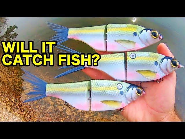 Will the TRIPLE SWIMBAIT RIG ACTUALLY CATCH FISH?