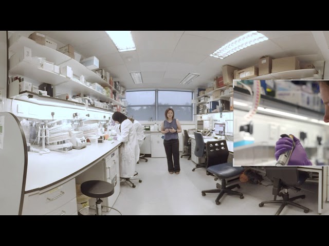 Dr Jacqui Sheilds' lab (360 view)